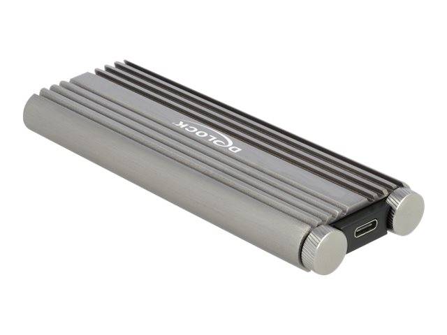 DeLOCK External Enclosure for M.2 NVMe PCIe SSD with SuperSpeed USB 20 Gbps (USB 3.2 Gen 2x2)