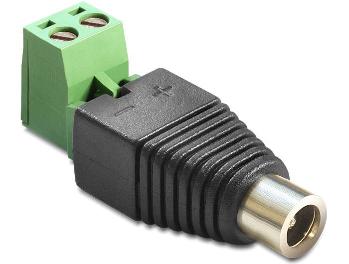 DeLOCK Adapter DC 2.1 x 5.5 mm male > Terminal Block - Netzteil - 2-polige Klemmleiste (W)