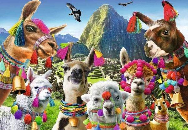 Ravensburger - Lama, 99 Teile