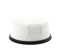 Panorama Antennas LGMM4-6-60 - 1,8 cm - 80 mm - 180 mm - Weiß