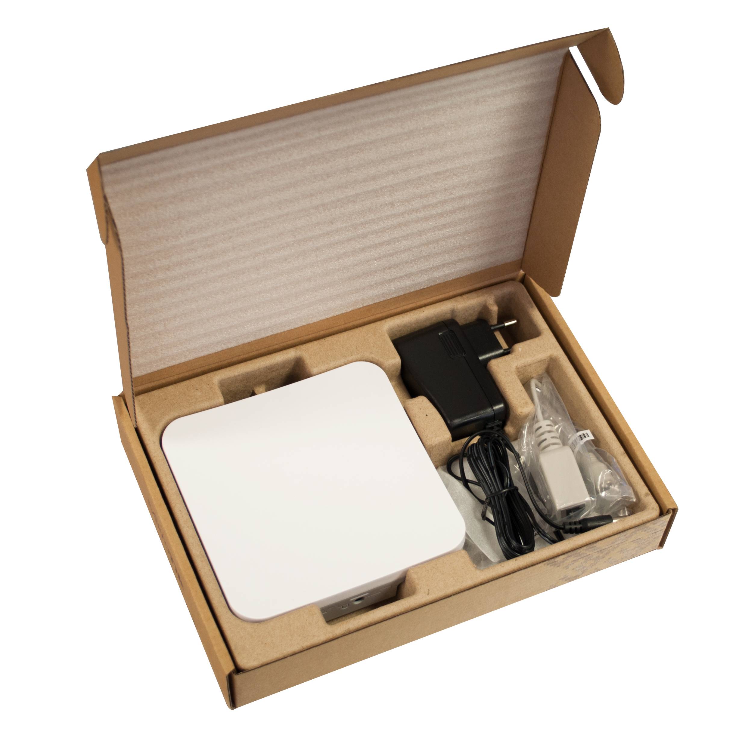 Offene Kartonschachtel mit einem kleinen weißen Gerät, Stromadapter und Kabel in geformter Verpackung.
