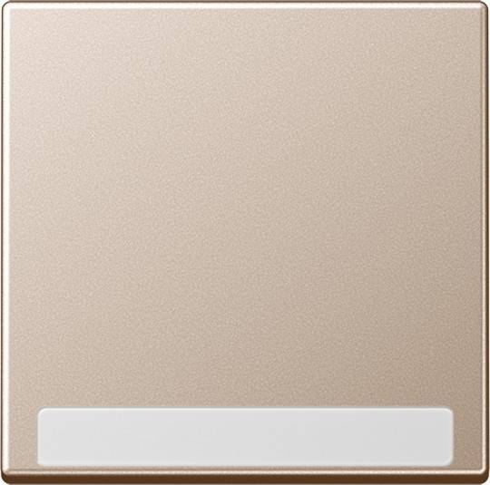 Jung Wippe mit Schriftfeld A 590 BF NA CH