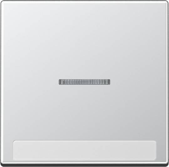 Jung Wippe mit Schriftfeld A 590 BF NA KO5 AL