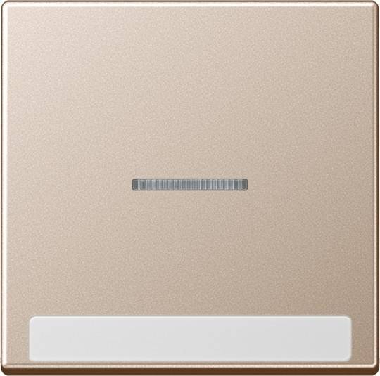 Jung Wippe mit Schriftfeld A 590 BF NA KO5 CH