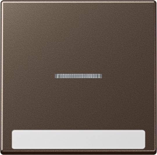 Jung Wippe mit Schriftfeld A 590 BF NA KO5 MO