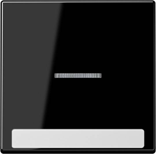 Jung Wippe mit Schriftfeld A 590 BF NA KO5 SW