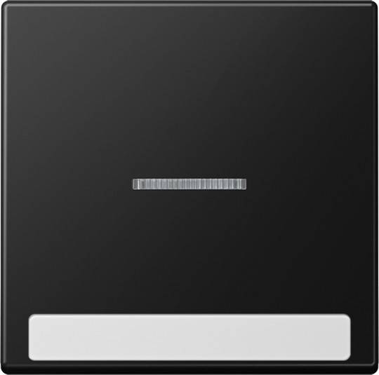 Jung Wippe mit Schriftfeld A 590 BF NA KO5 SWM