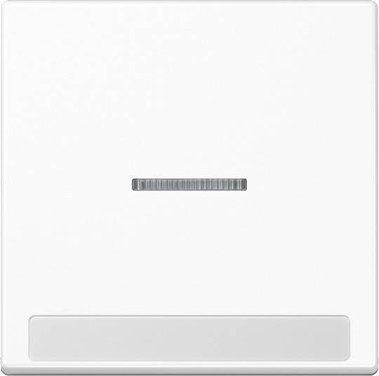 Jung Wippe mit Schriftfeld A 590 BF NA KO5 WW