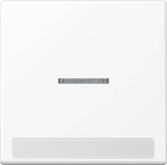 Jung Wippe mit Schriftfeld A 590 BF NA KO5 WWM