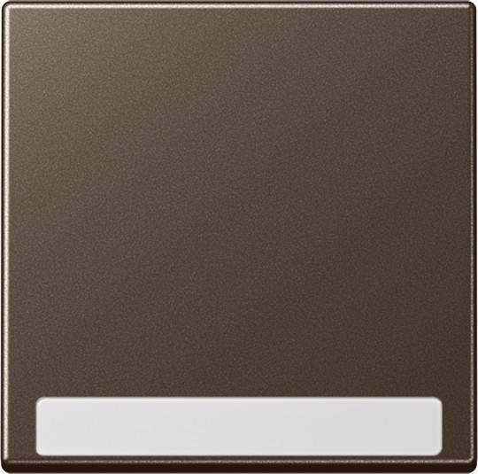 Jung Wippe mit Schriftfeld A 590 BF NA MO