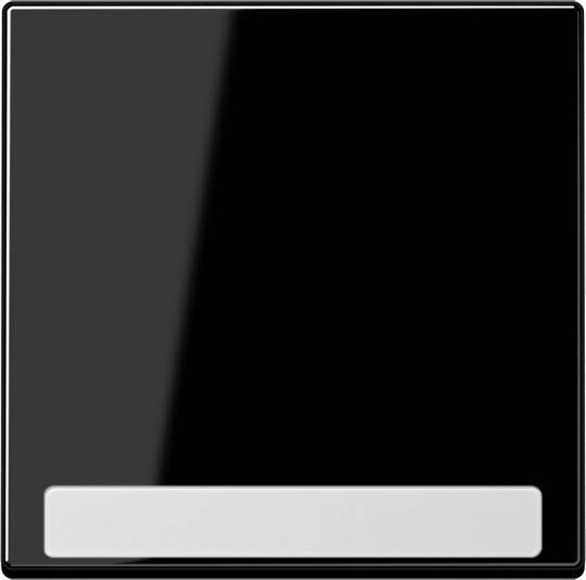 Jung Wippe mit Schriftfeld A 590 BF NA SW