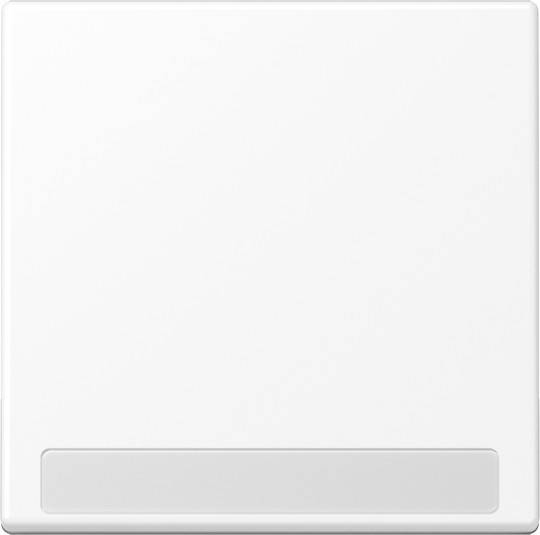 Jung Wippe mit Schriftfeld A 590 BF NA WWM