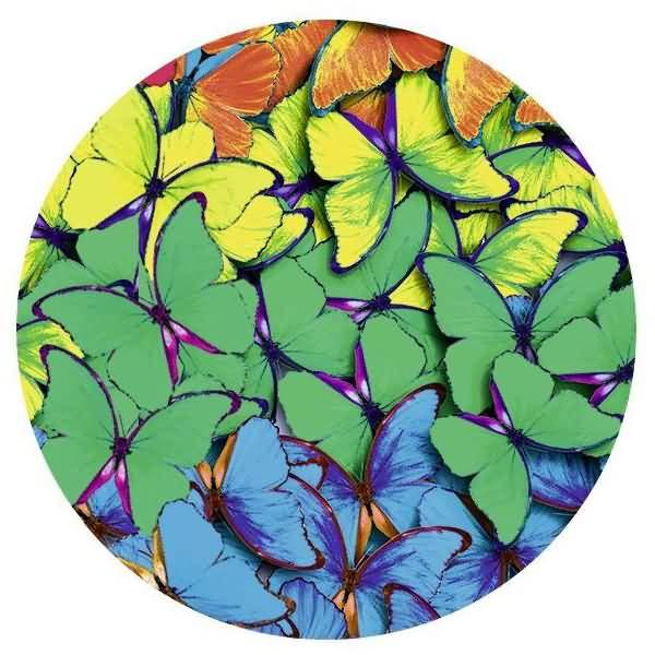 Fotokarton Regenbogen-Schmetterling 300g/qm 49,5X68cm VE=10 Bögen