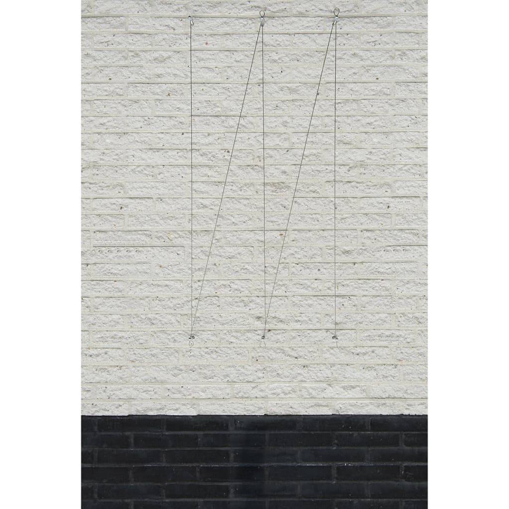 Nature Rankseil-Sets für Kletterpflanzen 2 Stk.