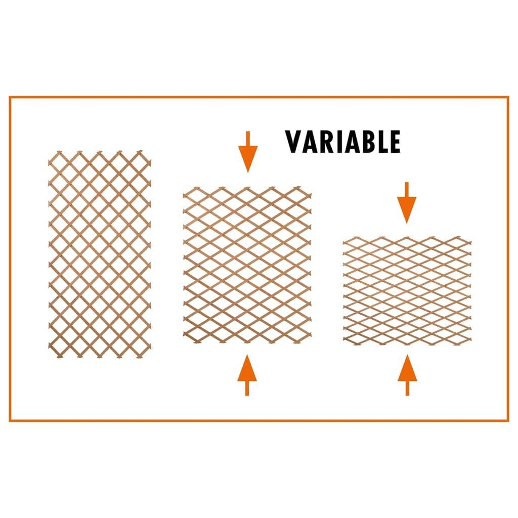 Nature Garten-Rankgitter 100x200 cm Holz Grün 6041704