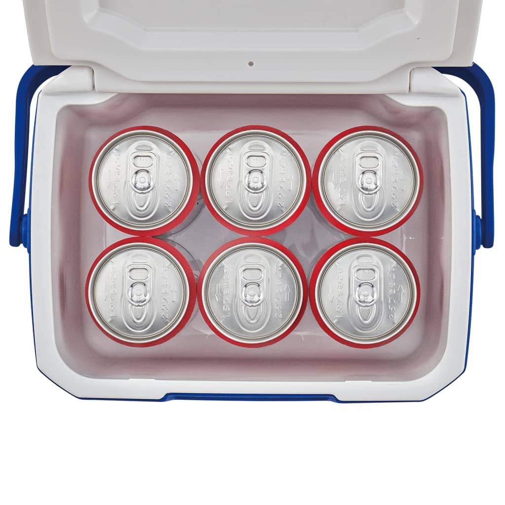 Coleman Kühlbox Personal 5QT Blau 4 L