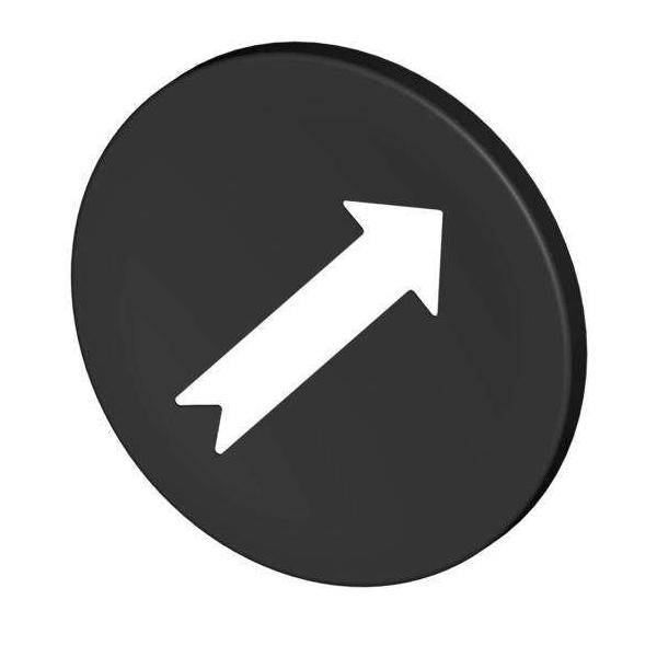 Stahl Tastenschild 8602/3 227778