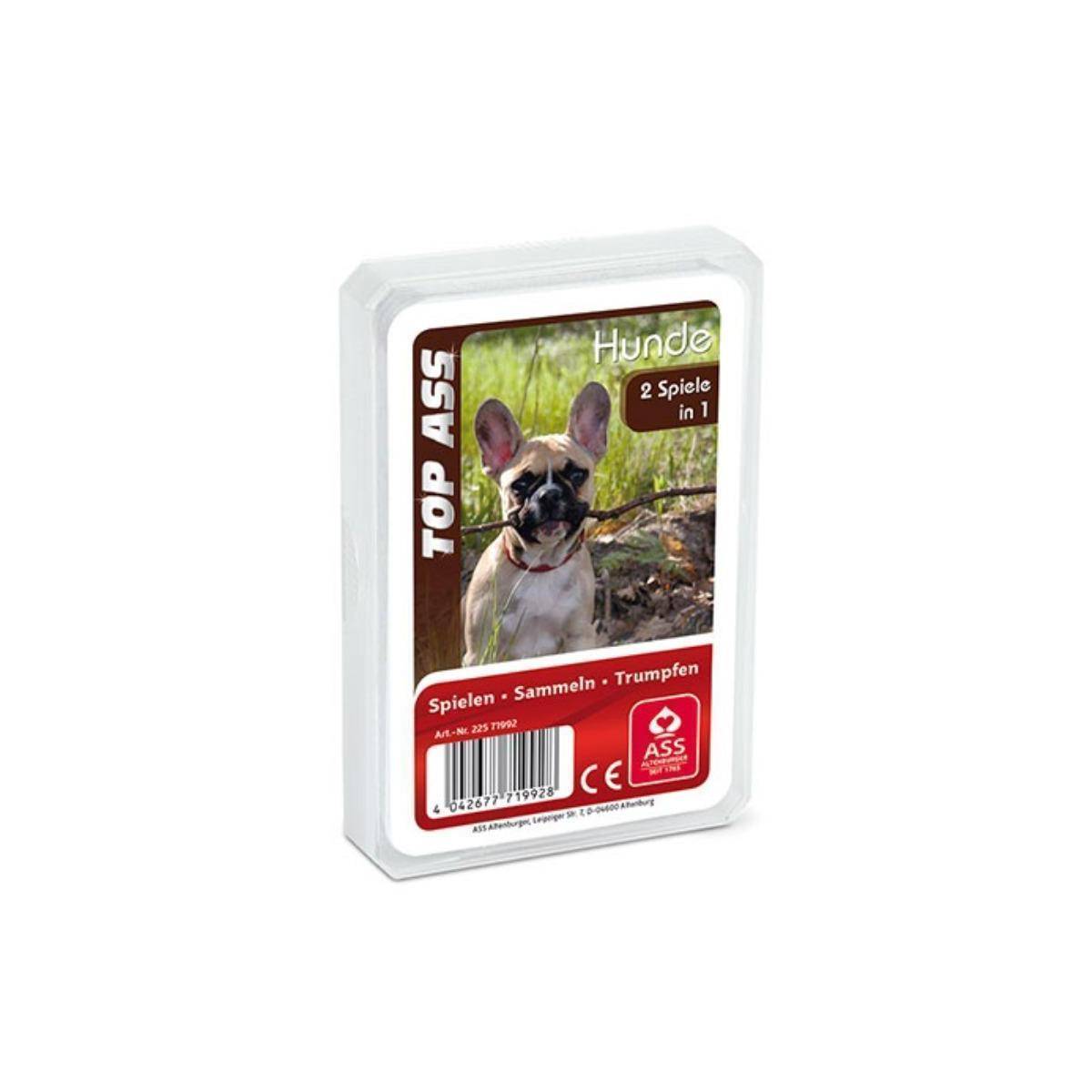 10029570-0001 - Quartett - Hunde