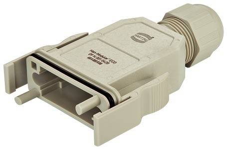 Ein beiger, verschließbarer RJ45-Stecker mit der Beschriftung 