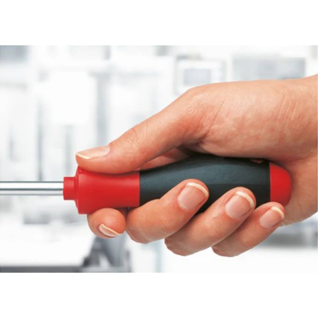 Wiha Fünfteiliger Schraubendrehersatz SoftFinish 341 K5