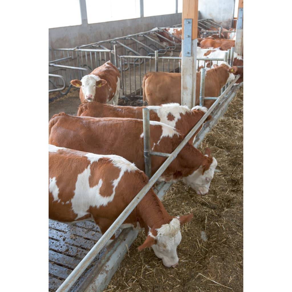 Kerbl SmartCam Batterie/HD 10812