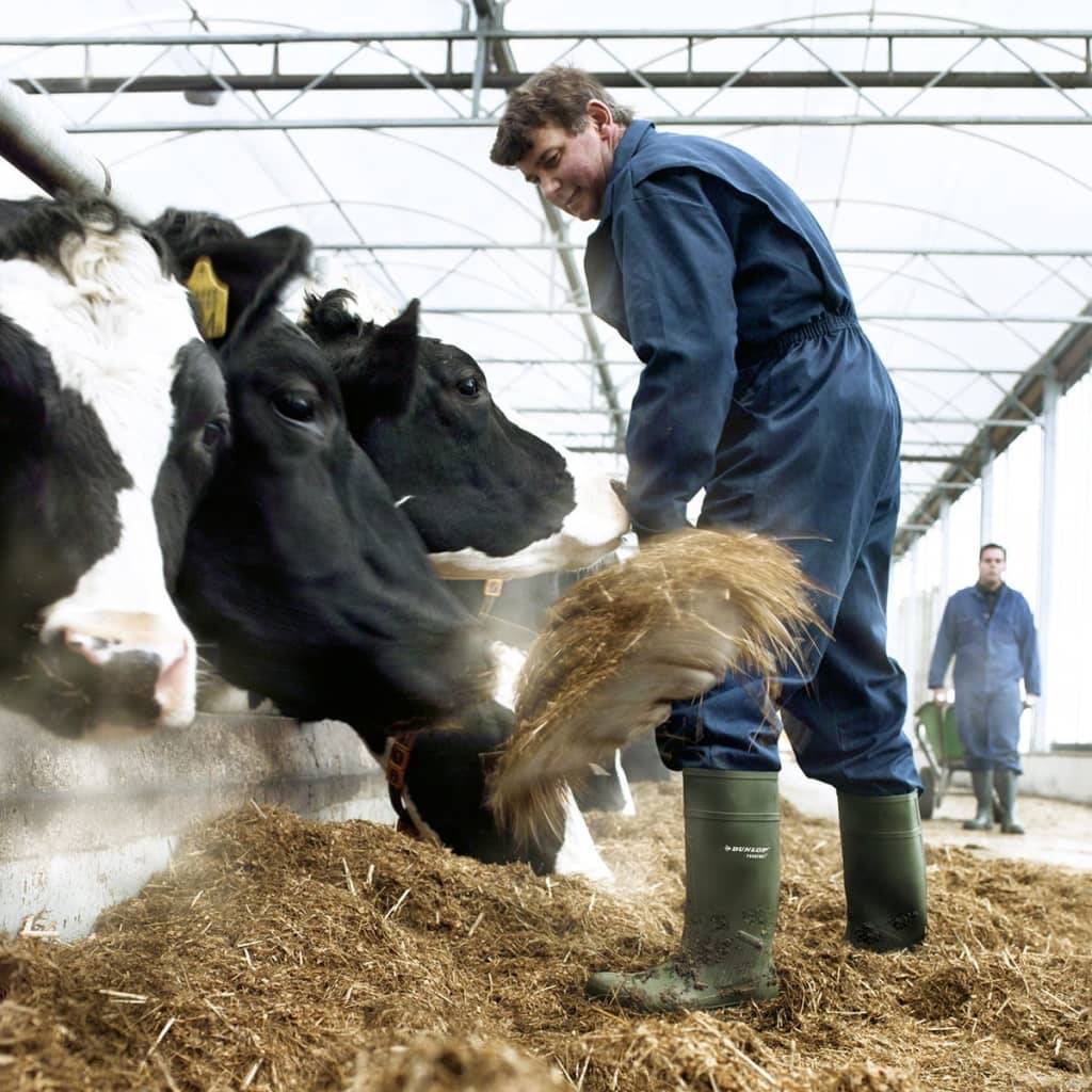 DUNLOP Sicherheitsstiefel Purofort S5 Gr. 38 34751