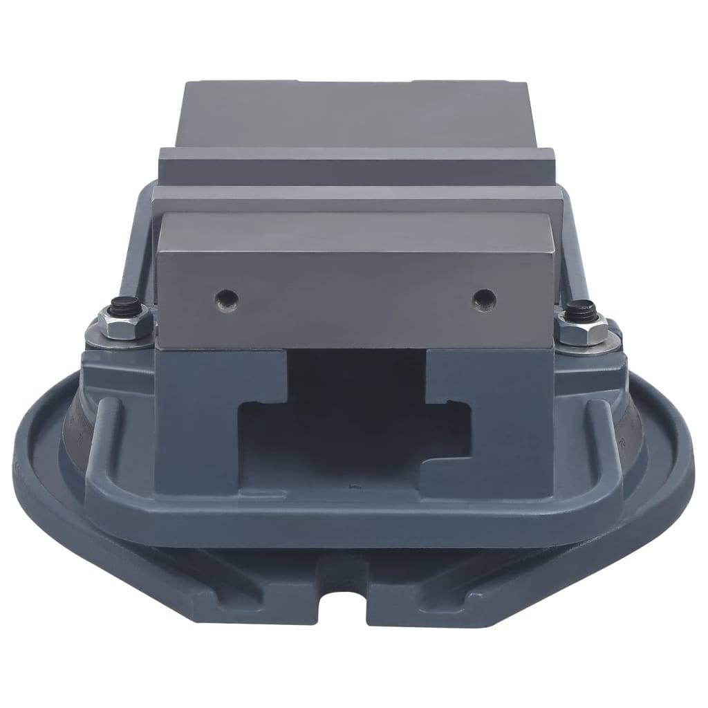 vidaXL Drehtisch-Schraubstock Gusseisen 160 mm