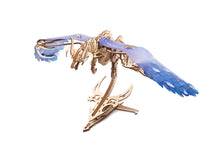 UGEARS® Sturmdrache