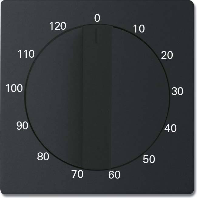 Busch-Jaeger Zentralscheibe sw/matt 1771-885-103