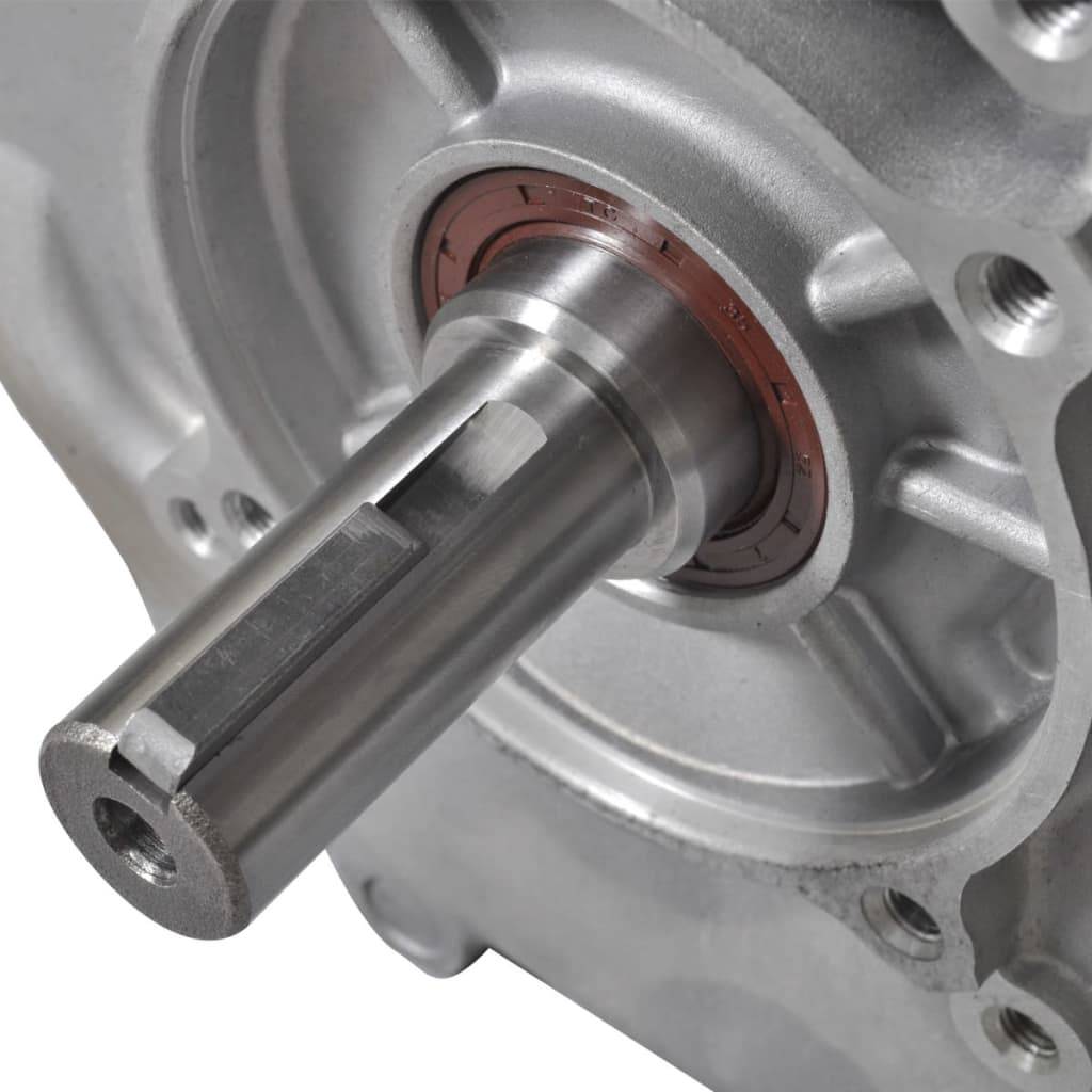 vidaXL Benzinmotor 15 PS 11 kW Schwarz