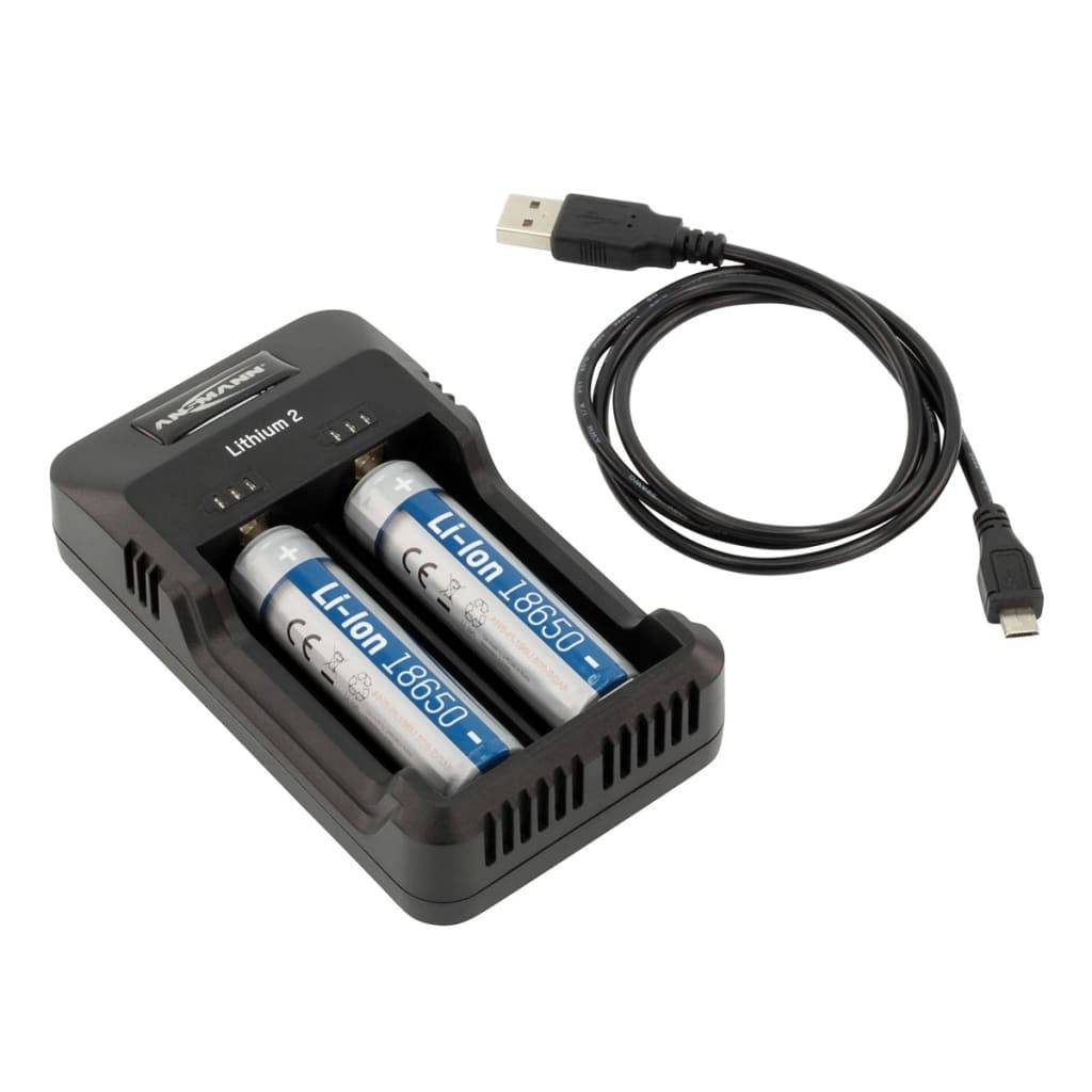 Ansmann Akku-Ladegerät Lithium 2 Schwarz 1001-0050