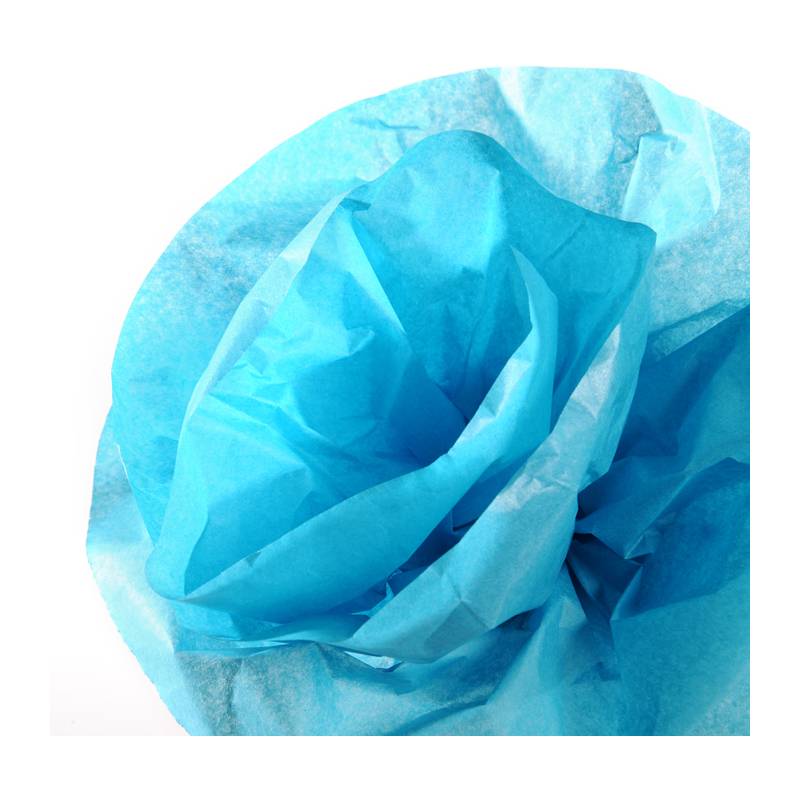 CANSON Seidenpapier-Rolle, 0,5 x 5,0 m, 20 g/qm, türkis