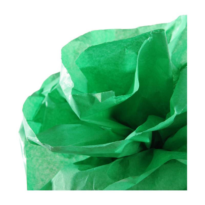 CANSON Seidenpapier-Rolle, 0,5 x 5,0 m, 20 g/qm, moosgrün