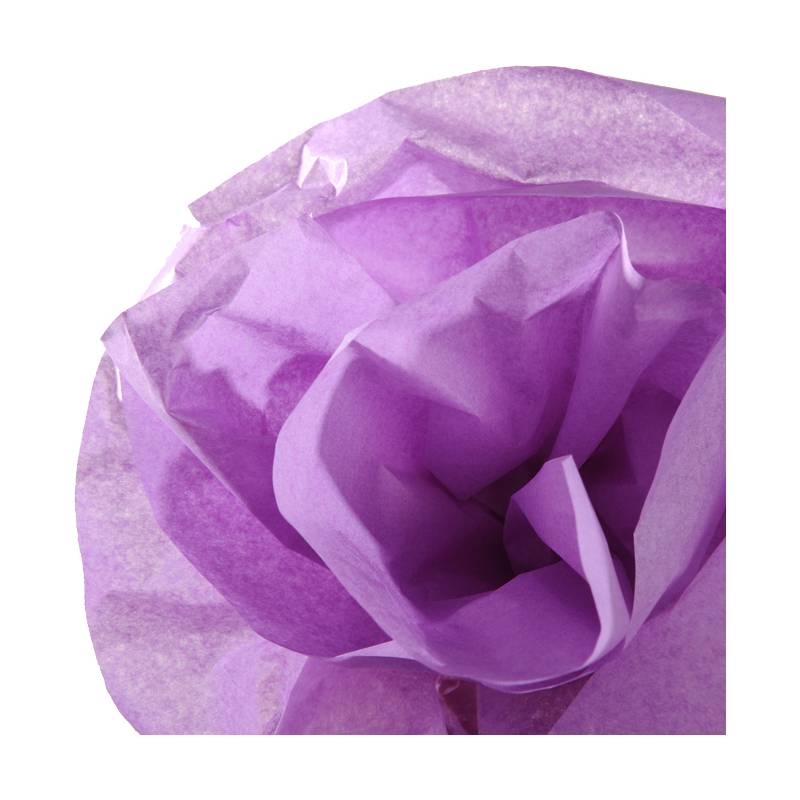 CANSON Seidenpapier-Rolle, 0,5 x 5,0 m, 20 g/qm, lila