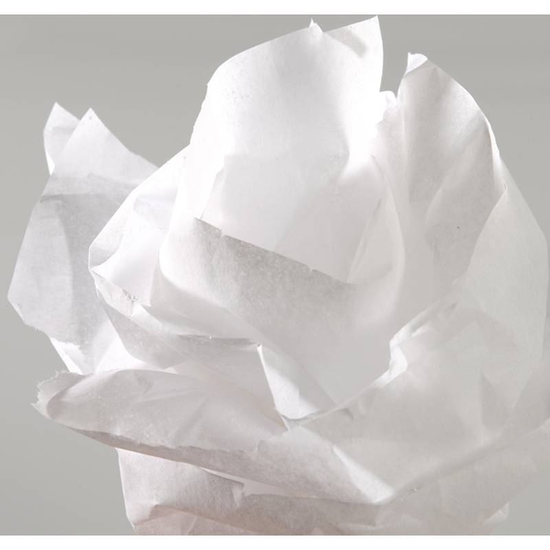 CANSON Seidenpapier, weiß, Maße: 0,5 x 5,0 m, 20 g/qm