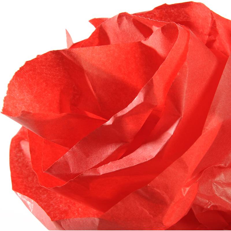 CANSON Seidenpapier, Maße: 0,5 x 5,0 m, 20 g/qm, feldmohnrot