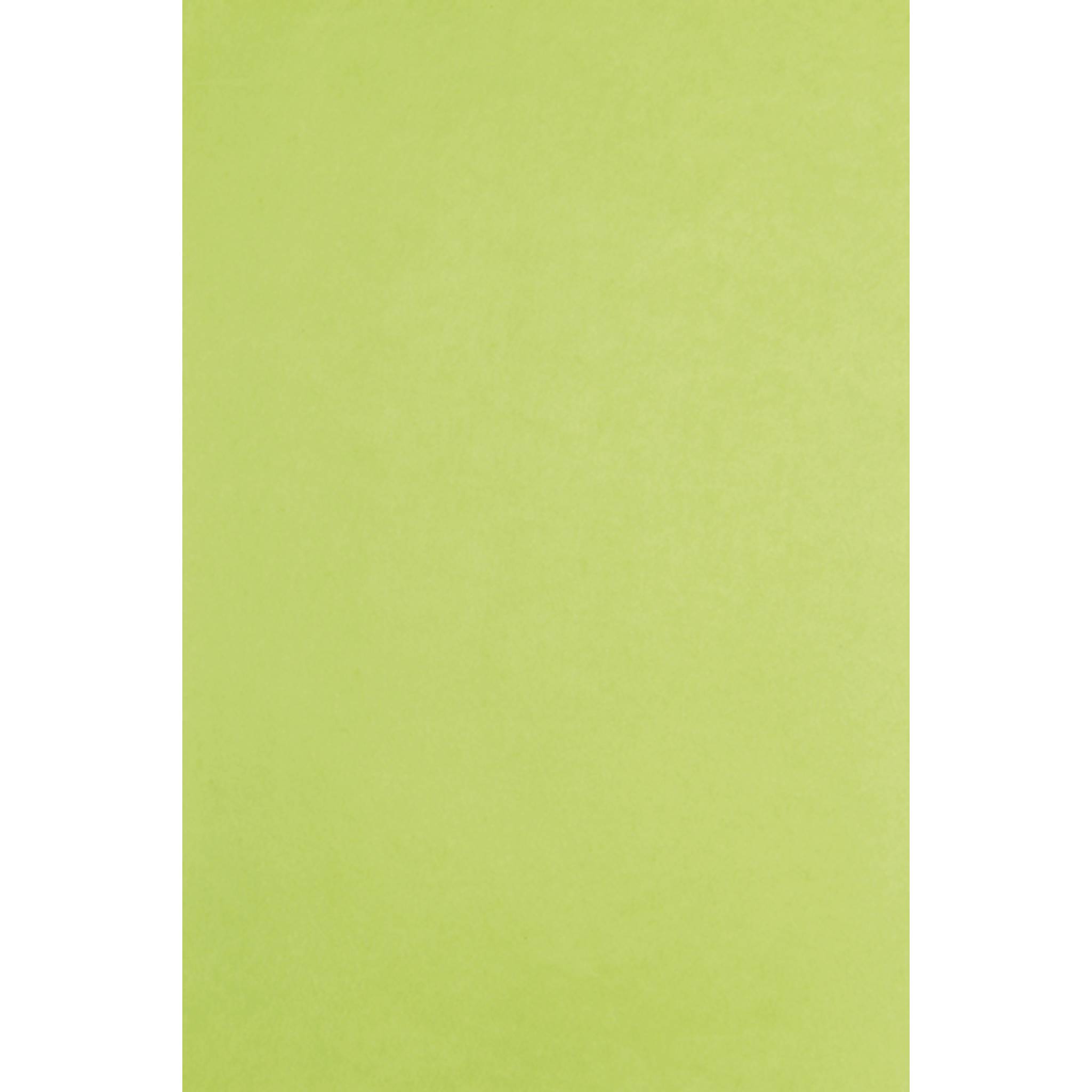 Clairefontaine Ries, 480 Bogen Seidenpapier 75x50cm - Apfelgrün 393619C