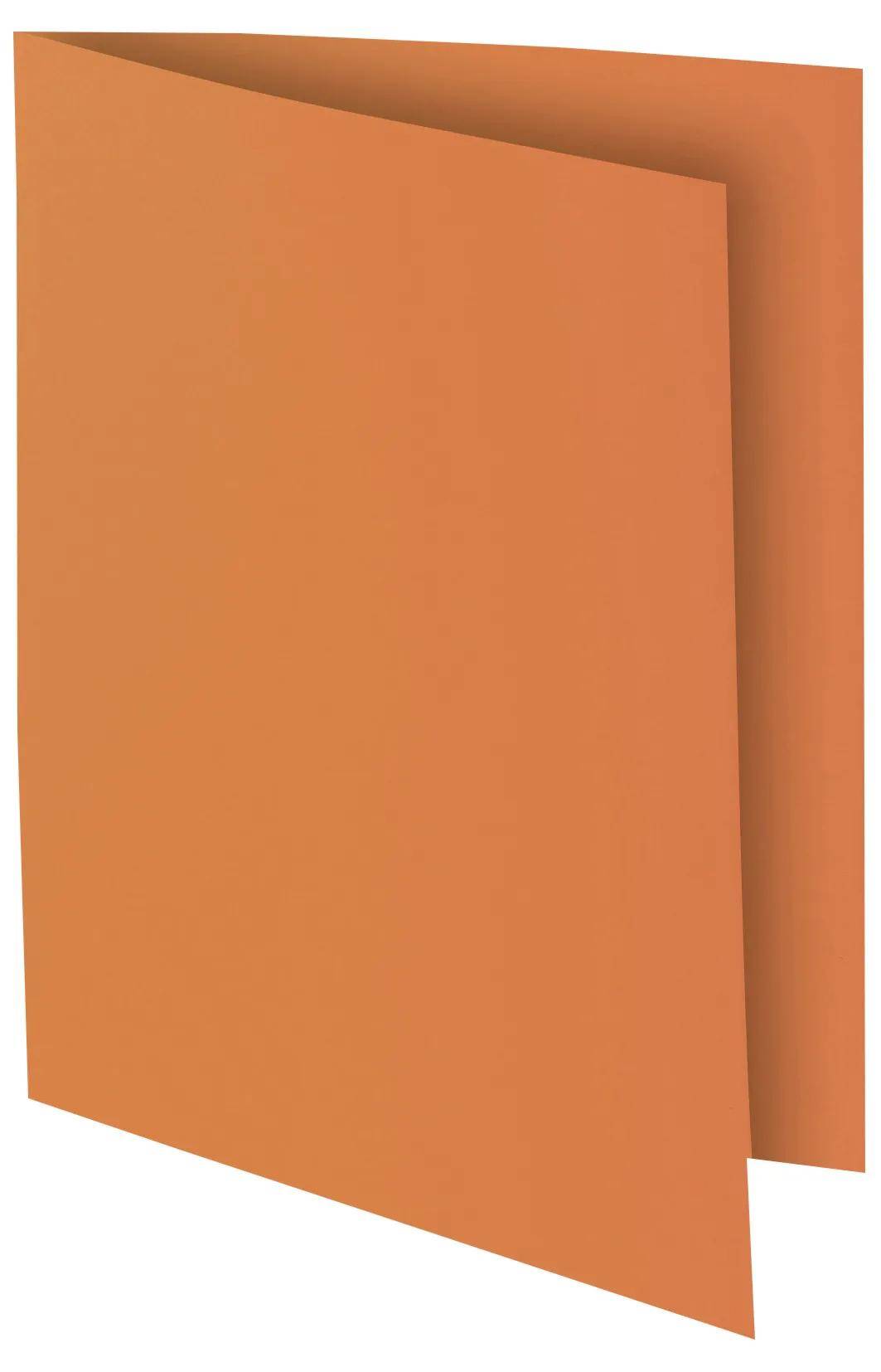 Exacompta 10x 50er Packung Aktendeckel BAHIA 220g A4 - Farben sortiert - 210500E