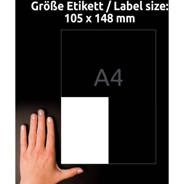 Etiketten antimikrobiell ablösbar A4 105x148mm 10 Bogen/40 Etiketten weiß