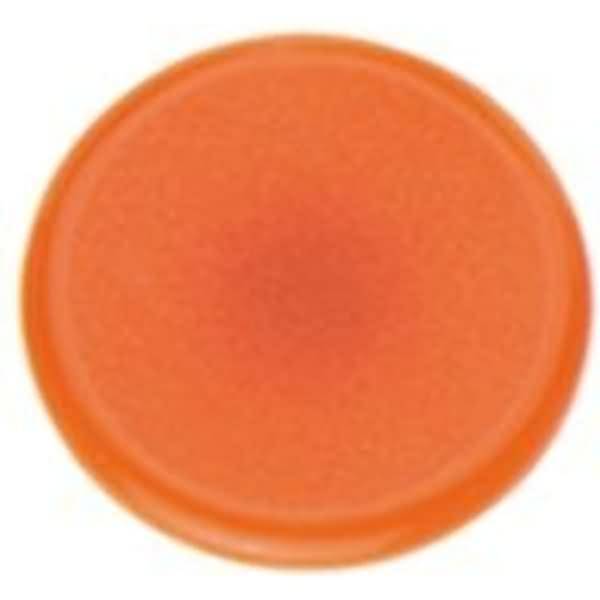 Posternägel 30mm VE=10 Stück orange