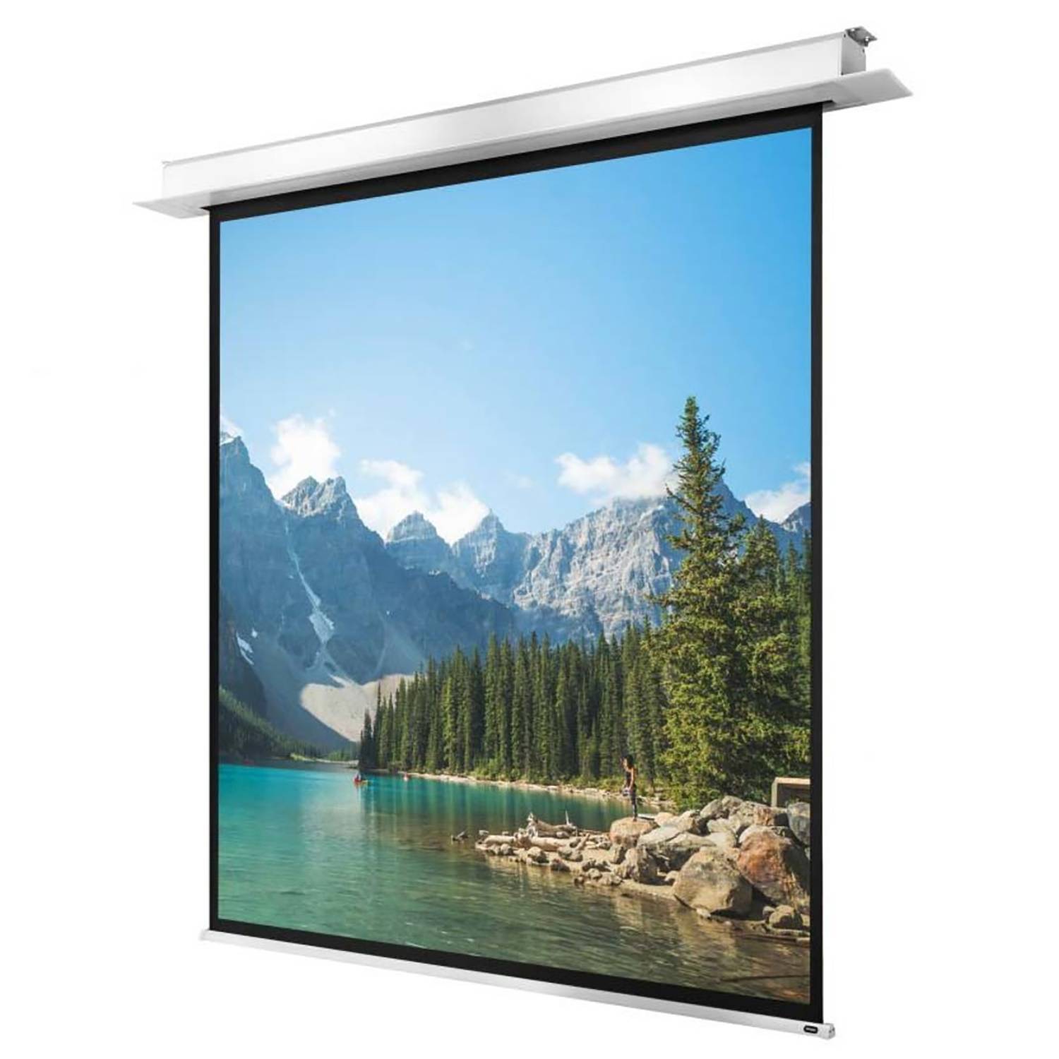 celexon Deckeneinbauleinwand Motor Professional Plus 280 x 280 cm