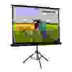 celexon Economy tripod screen - Projektionsbildschirm mit Stativ - 305 cm (120")