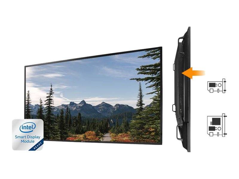 Neovo PD-55Q - 140 cm (55") Diagonalklasse (138.7 cm (54.6")