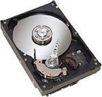 IBM Enhanced Value Disk Drive Module - Festplatte