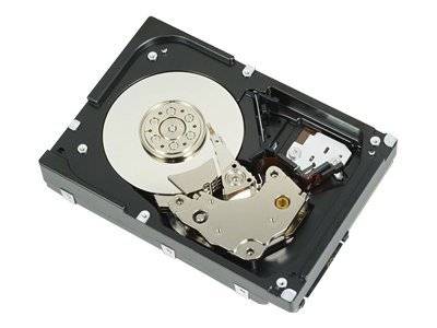 Dell Festplatte - 300 GB - intern - 3.5" (8.9 cm)