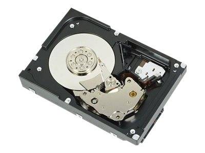 Dell - Festplatte - 1 TB - intern - 3.5" (8.9 cm)