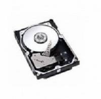 IBM 300GB FC - 3.5 Zoll - 300 GB - 10000 RPM8.89 cm (3.5") - 10000 rpm