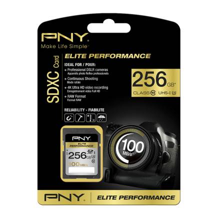 PNY Elite Performance - Flash-Speicherkarte - 256 GB