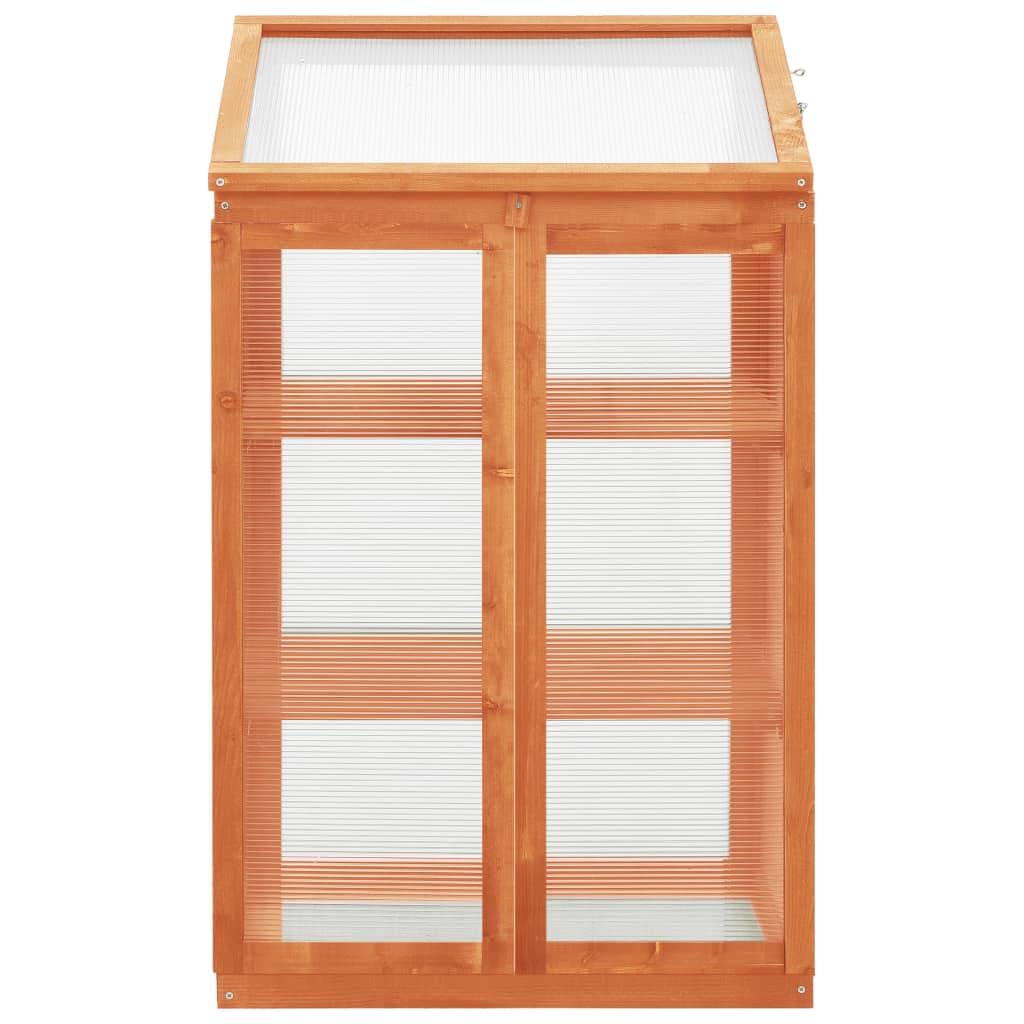 vidaXL Gewächshaus 60x45x100 cm Tannenholz