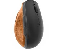 Lenovo Go - Maus - ergonomisch - optisch blau - 6 Tasten - kabellos - 2.4 GHz - kabelloser Empfänger (USB)